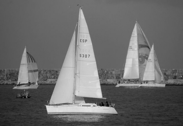 varios veleros en alta mar